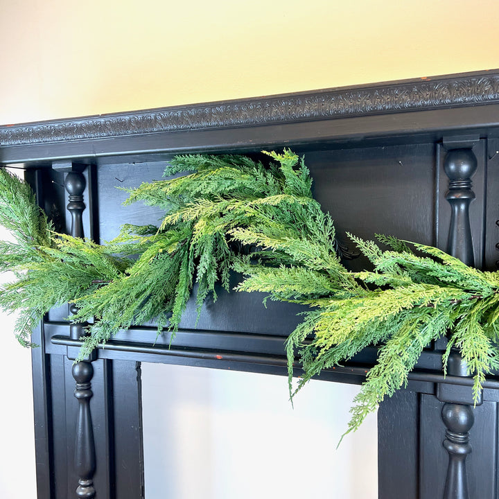 Cedar Collection
