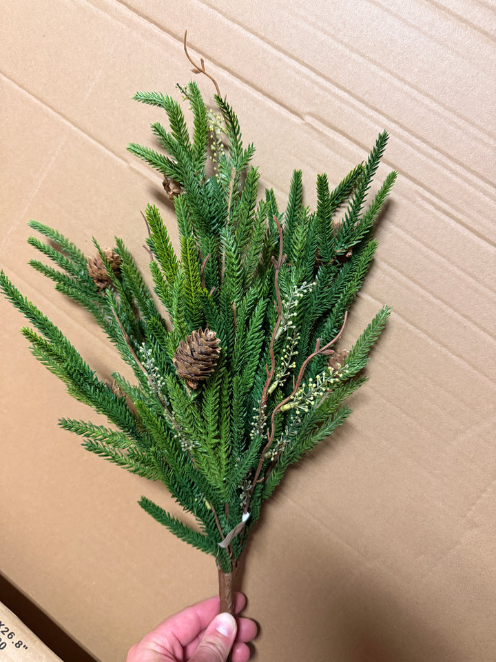 Norfolk Pine with Branch Collection