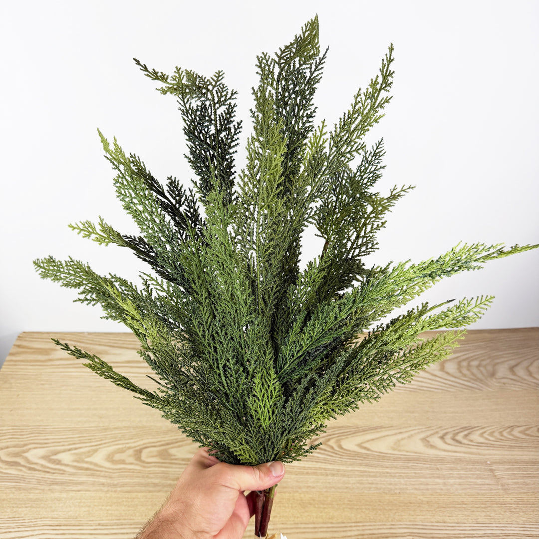 Cedar Bundle Real Touch