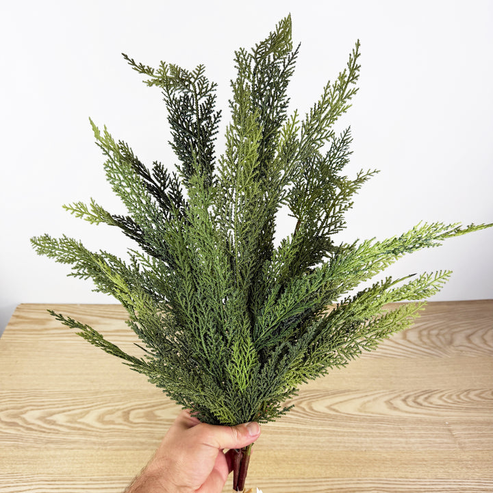 Cedar Bundle Real Touch