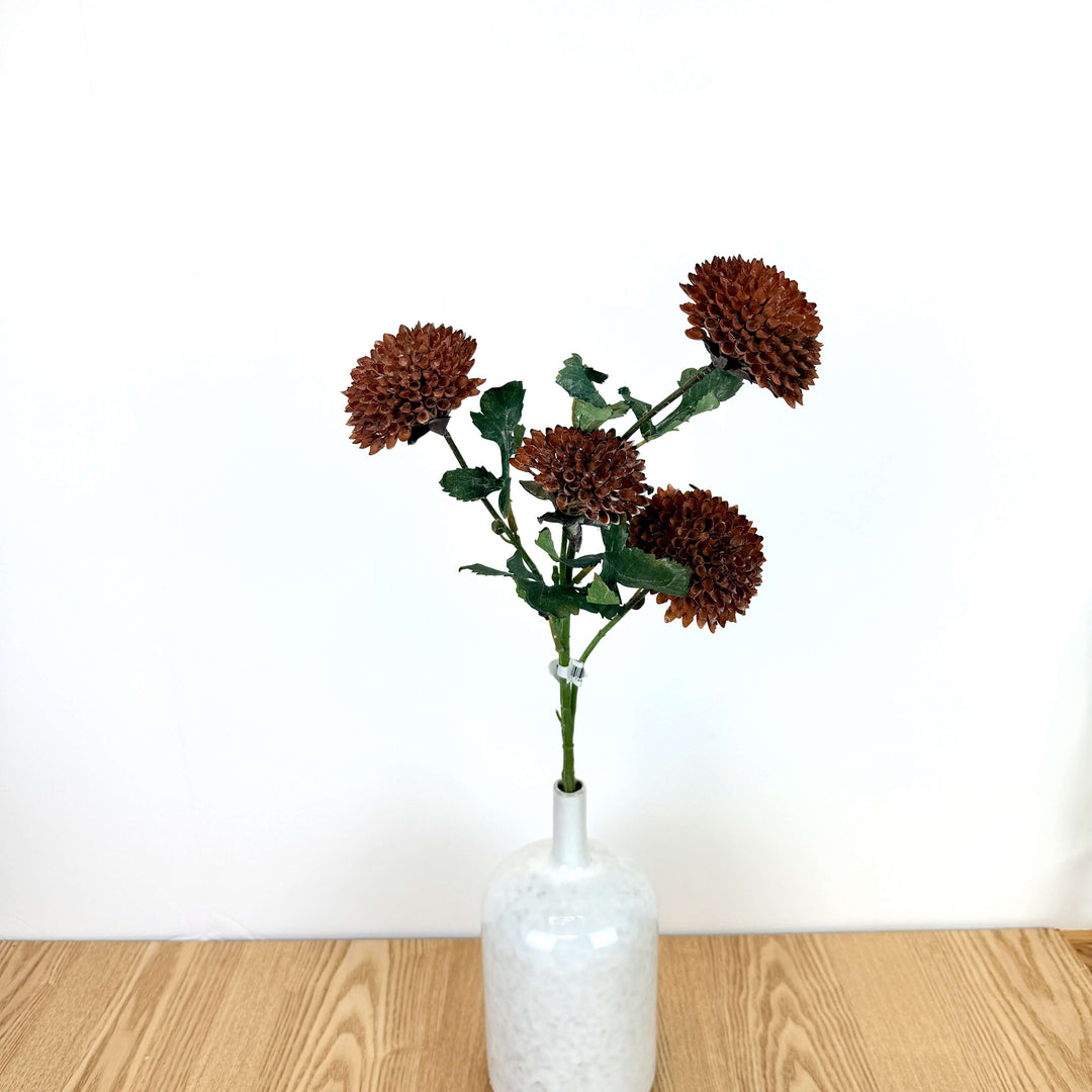 Dahlia Bundle