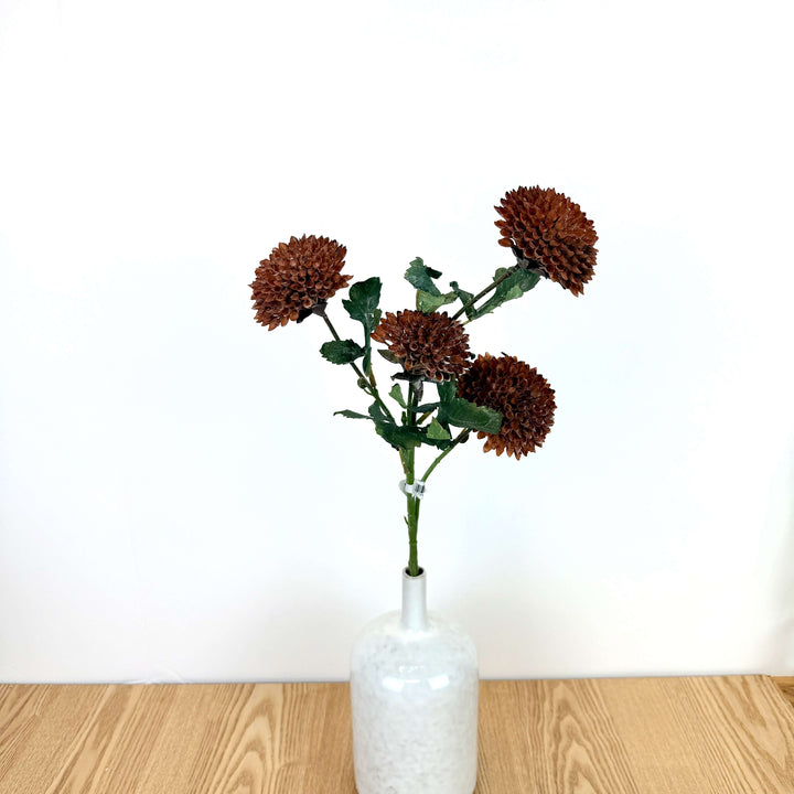 Dahlia Bundle