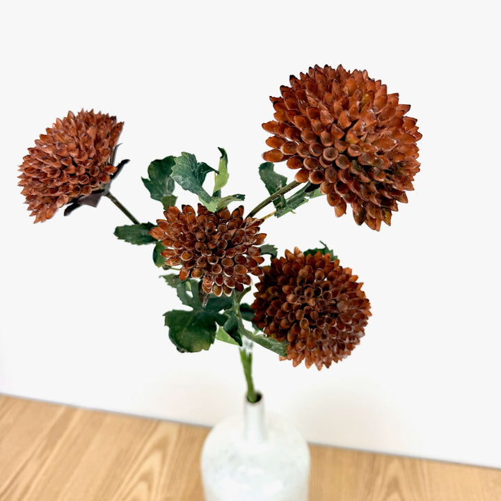 Dahlia Bundle
