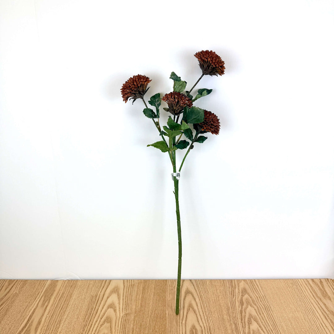 Dahlia Bundle