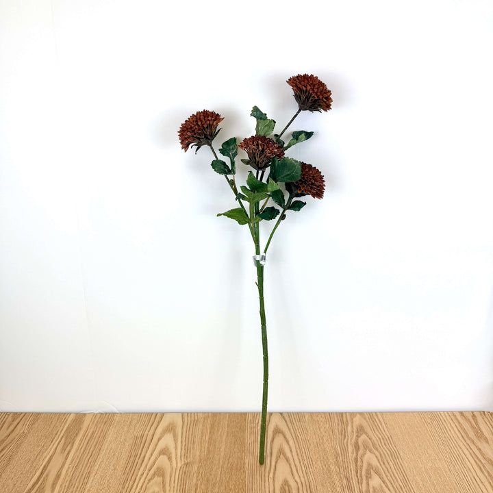 Dahlia Bundle