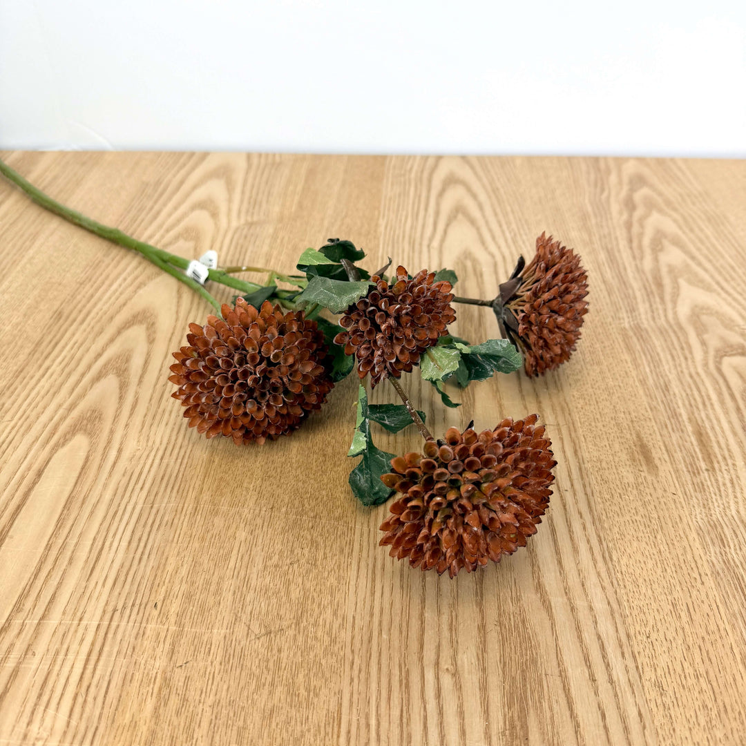 Dahlia Bundle