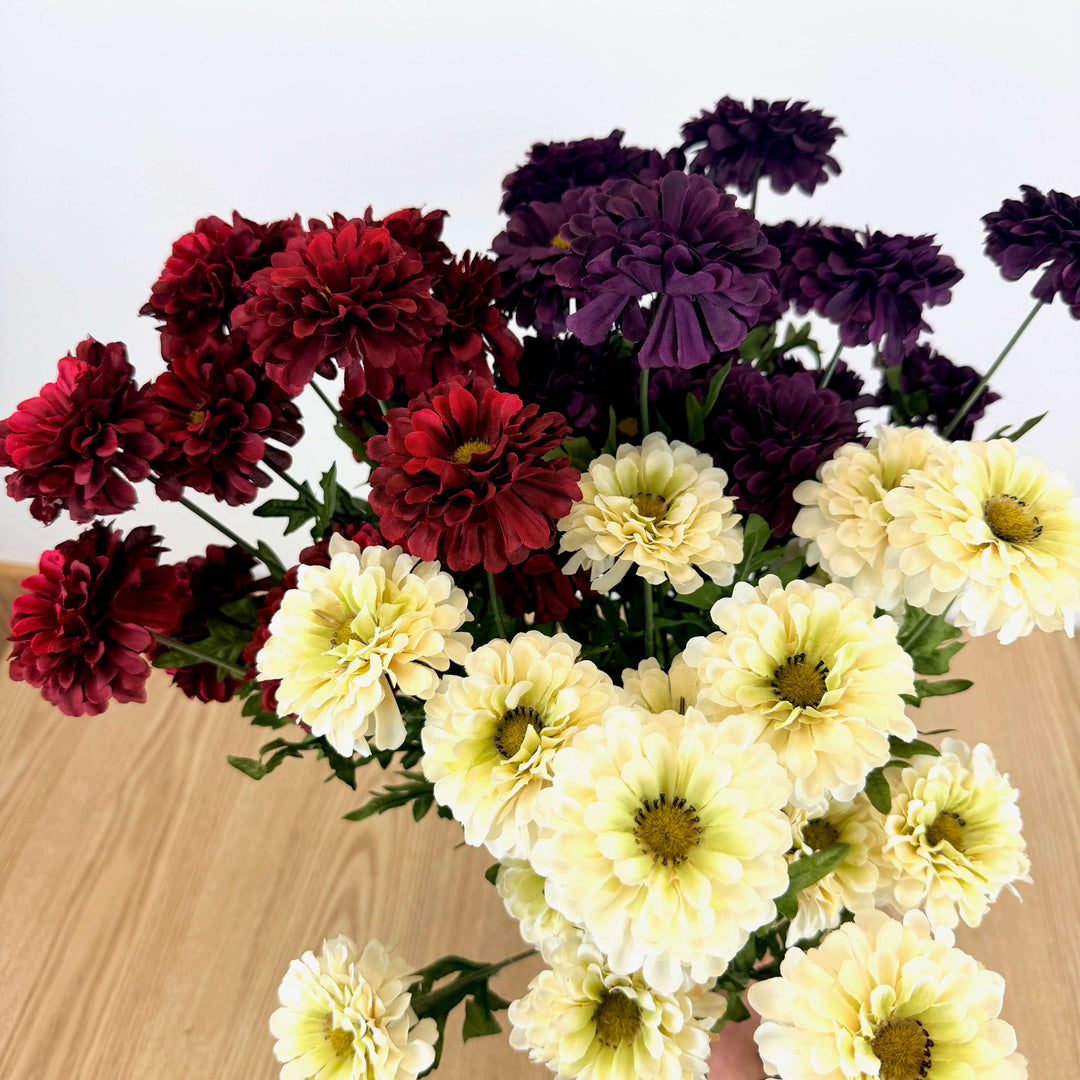 Zinnia Bundle - 3 Colors