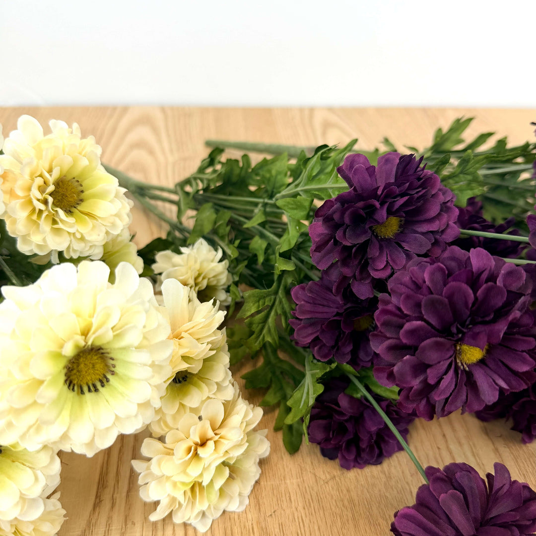 Zinnia Bundle - 3 Colors