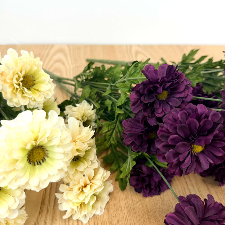 Zinnia Bundle - 3 Colors