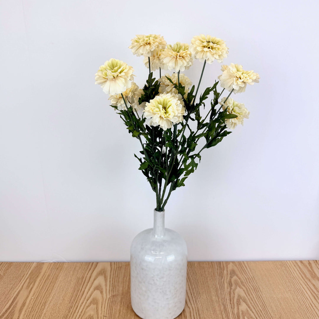 Zinnia Bundle - 3 Colors