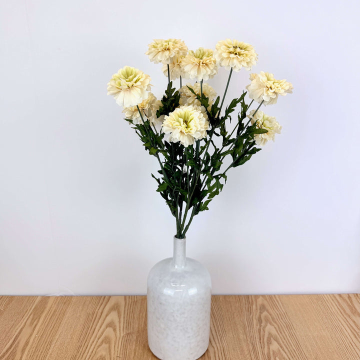 Zinnia Bundle - 3 Colors