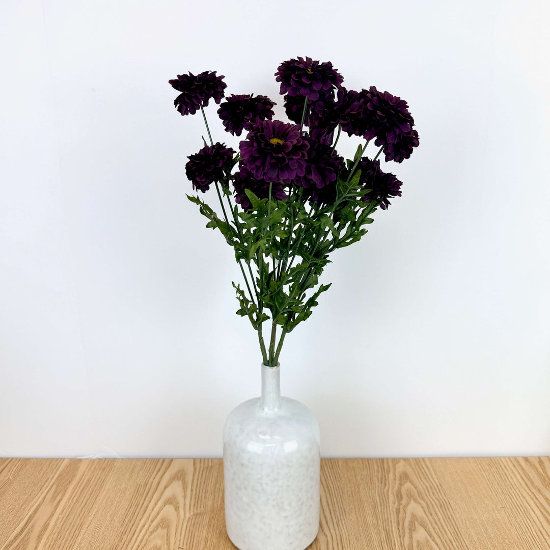Zinnia Bundle - 3 Colors