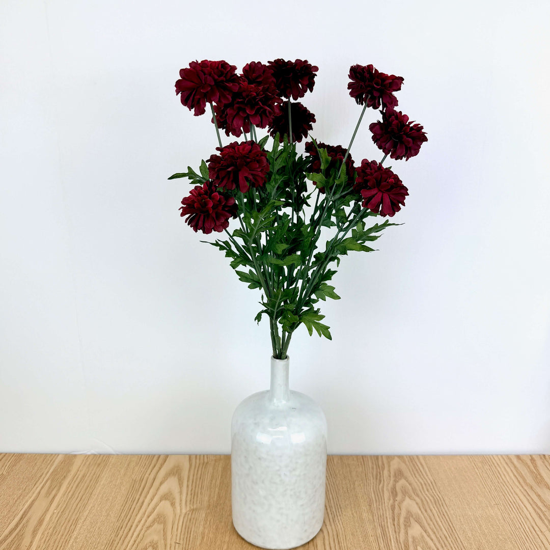Zinnia Bundle - 3 Colors