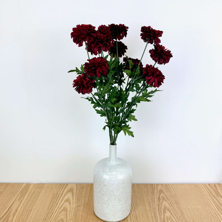 Zinnia Bundle - 3 Colors