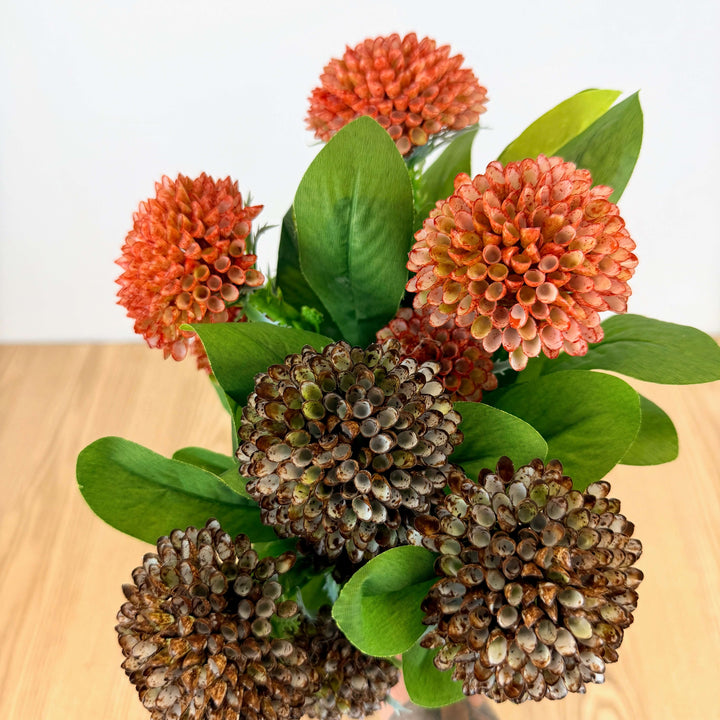 Dahlia Bundle - 2 Colors