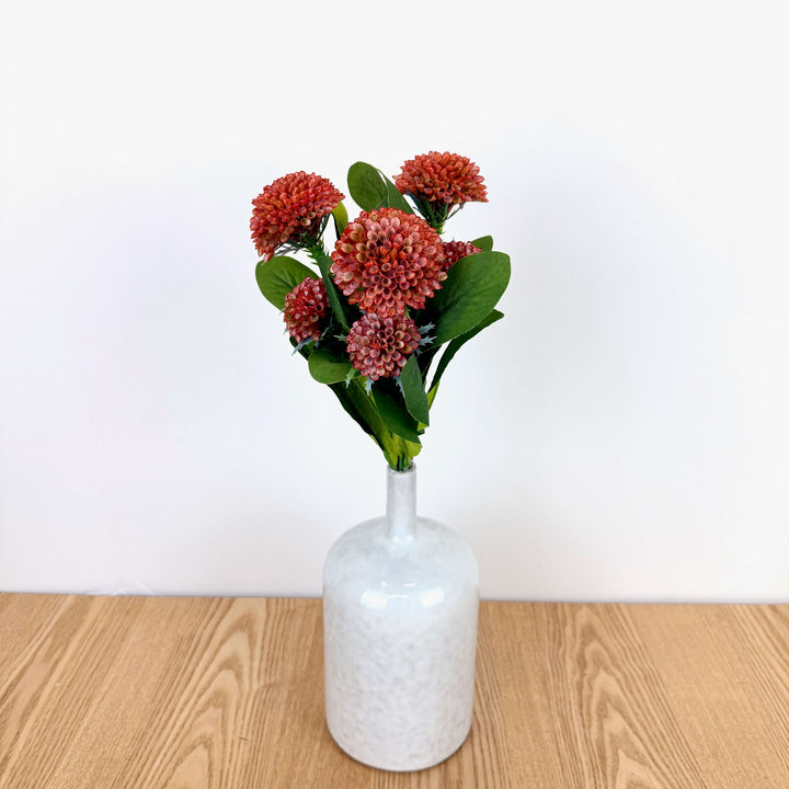 Dahlia Bundle - 2 Colors
