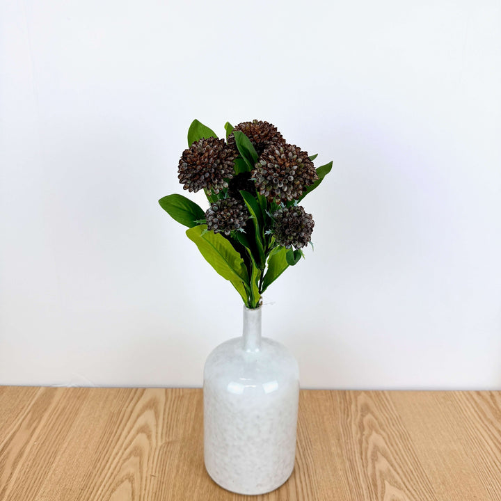 Dahlia Bundle - 2 Colors