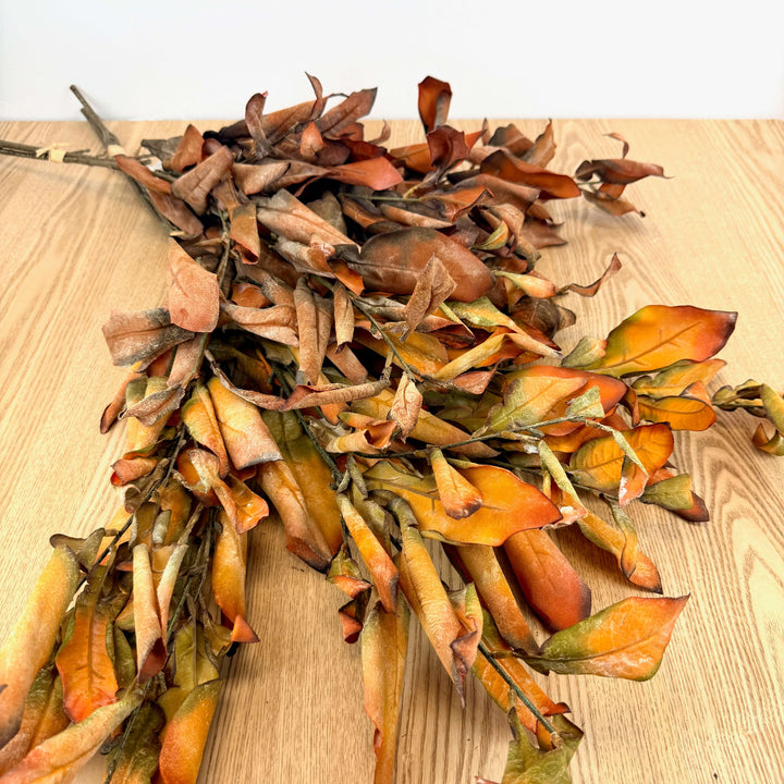 Dried Lemon Leaf Bundle - 2 Colors