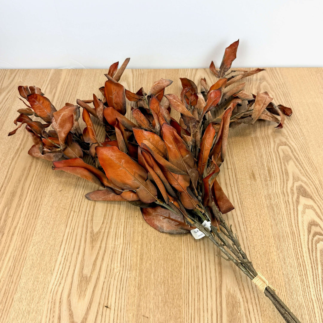 Dried Lemon Leaf Bundle - 2 Colors