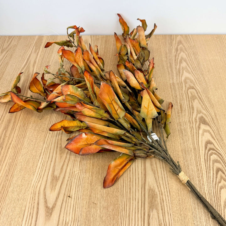 Dried Lemon Leaf Bundle - 2 Colors