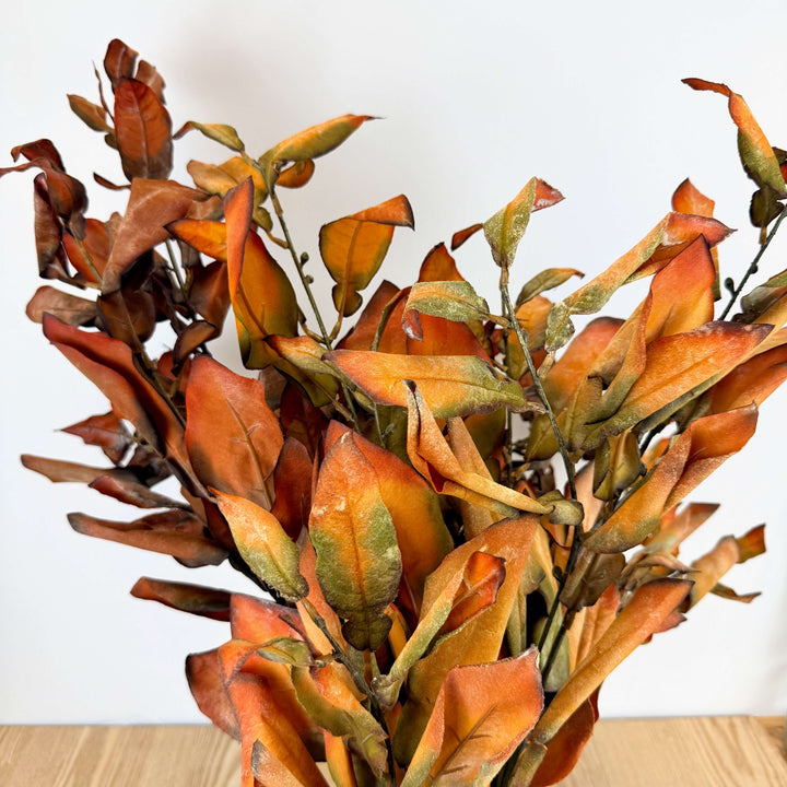 Dried Lemon Leaf Bundle - 2 Colors