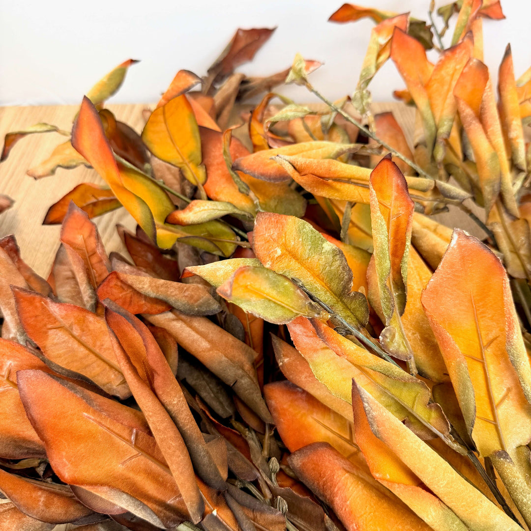 Dried Lemon Leaf Bundle - 2 Colors