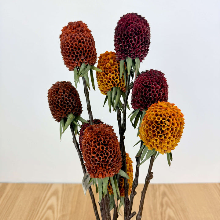 Ginger Spray - 3 Colors