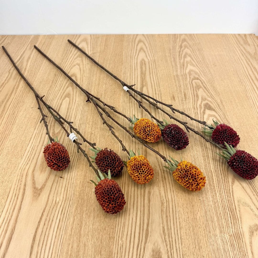Ginger Spray - 3 Colors