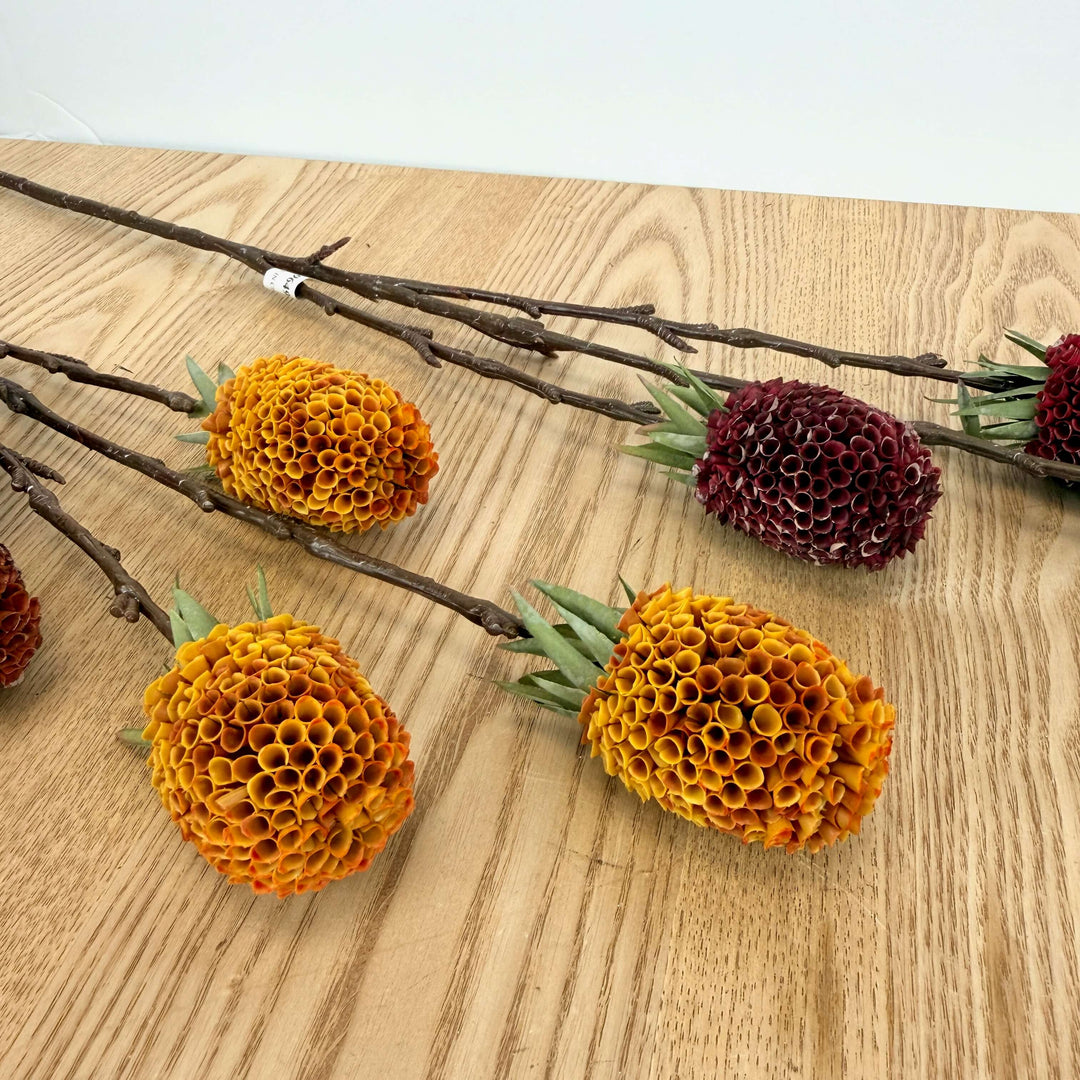 Ginger Spray - 3 Colors