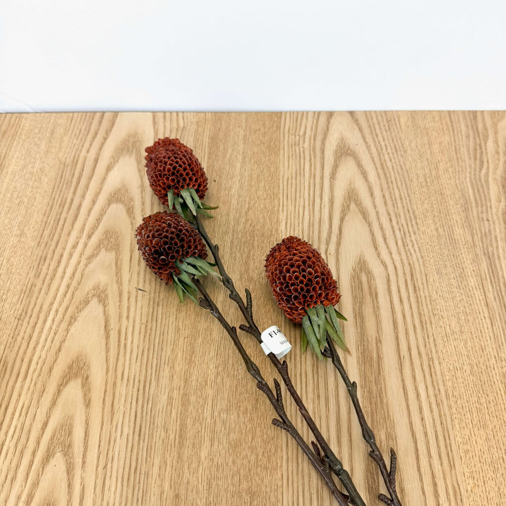 Ginger Spray - 3 Colors
