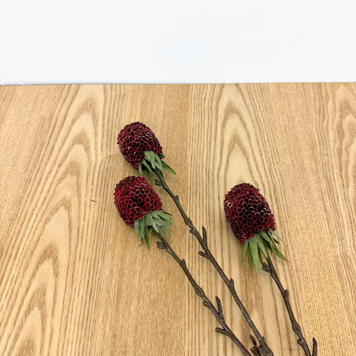 Ginger Spray - 3 Colors