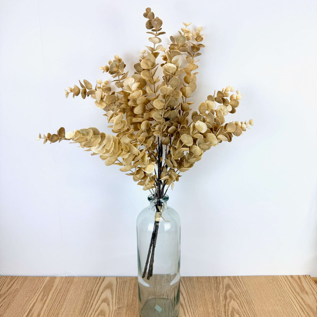 Eucalyptus Bundle - 2 Colors