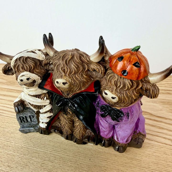 Halloween Highland Cows