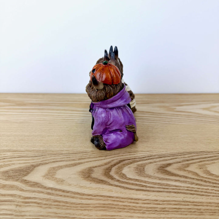 Halloween Highland Cows