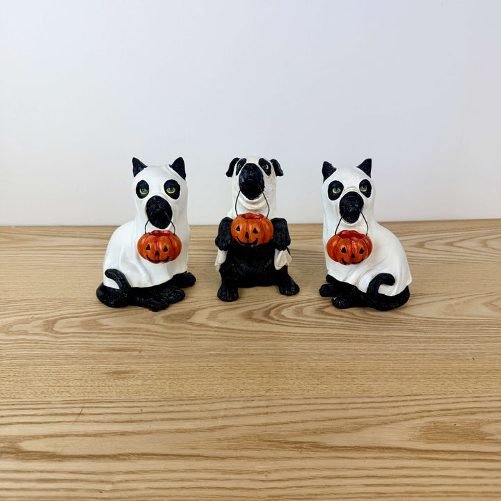 Halloween Dog and Cats