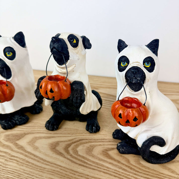 Halloween Dog and Cats