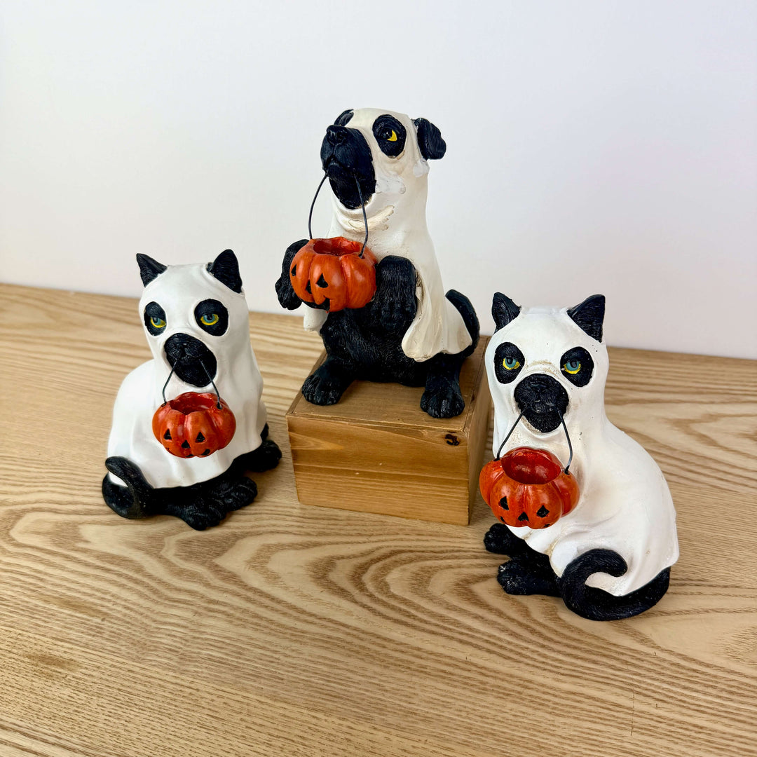 Halloween Dog and Cats