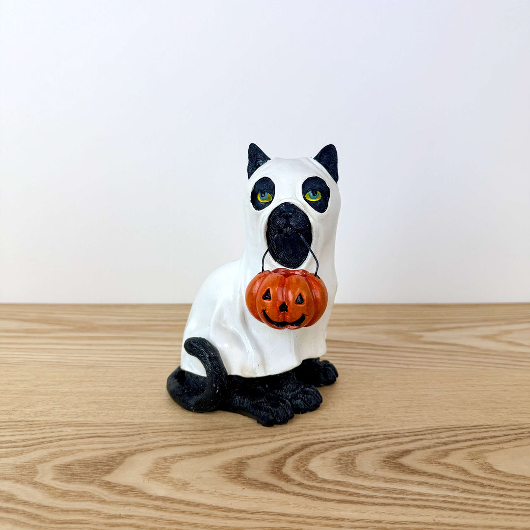 Halloween Dog and Cats
