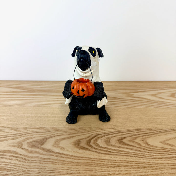 Halloween Dog and Cats