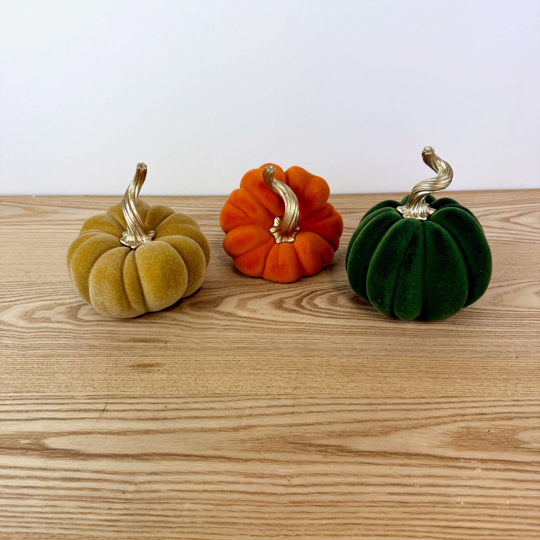 Velvet Harvest Pumpkin, Medium