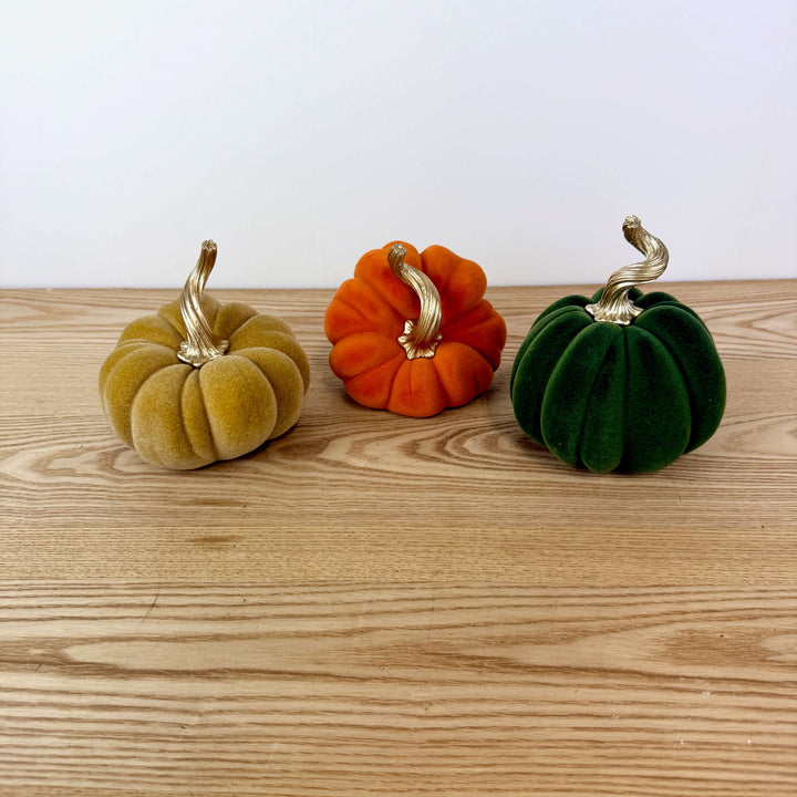 Velvet Harvest Pumpkin, Medium