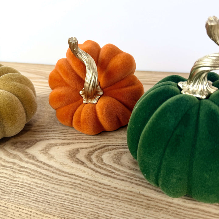 Velvet Harvest Pumpkin, Medium