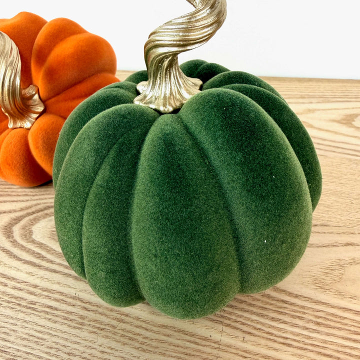 Velvet Harvest Pumpkin, Medium