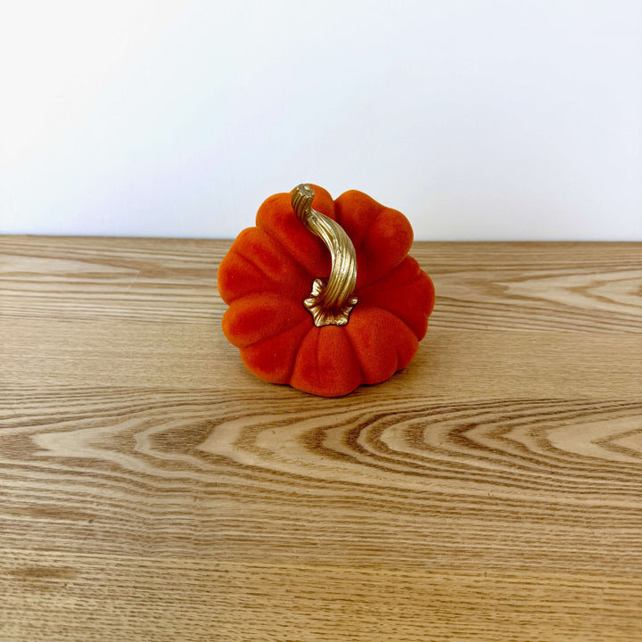 Velvet Harvest Pumpkin, Medium