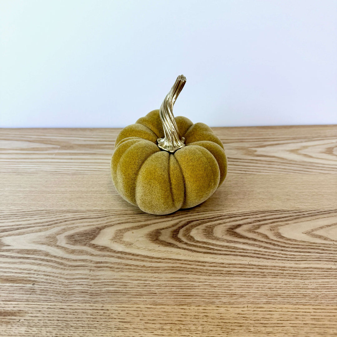 Velvet Harvest Pumpkin, Medium