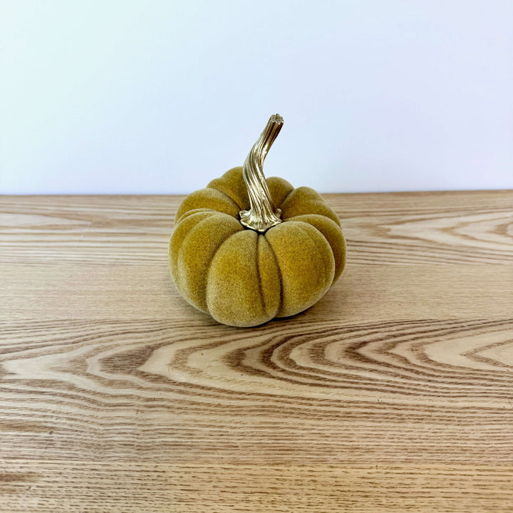 Velvet Harvest Pumpkin, Medium