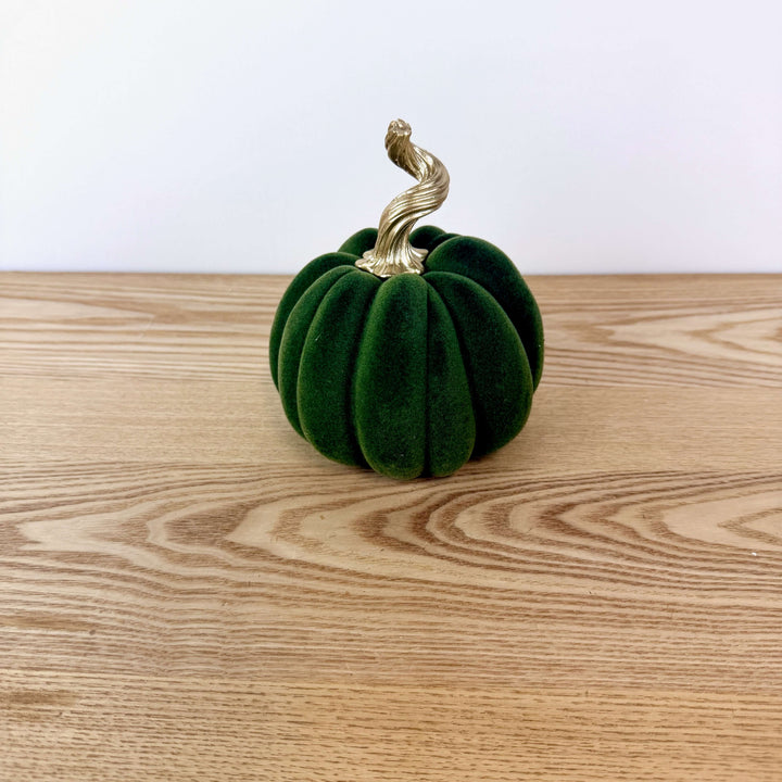 Velvet Harvest Pumpkin, Medium