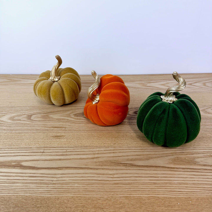 Velvet Harvest Pumpkin, Medium
