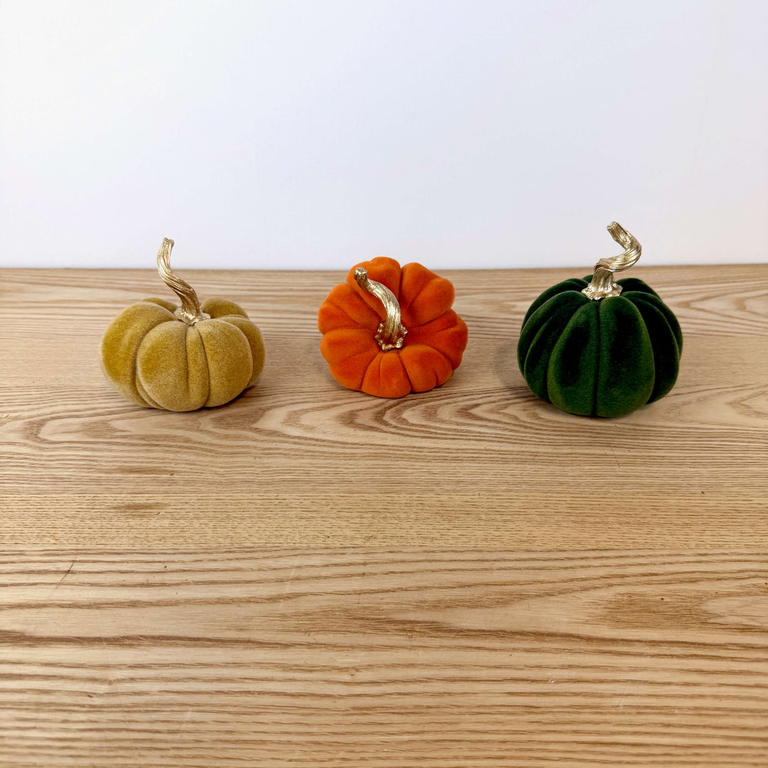 Velvet Harvest Pumpkin, Small