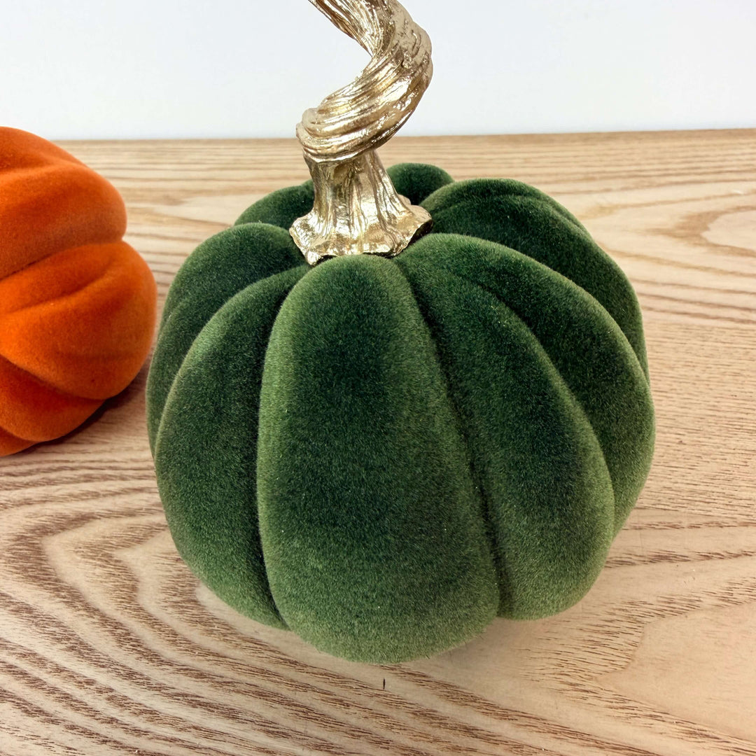 Velvet Harvest Pumpkin, Small